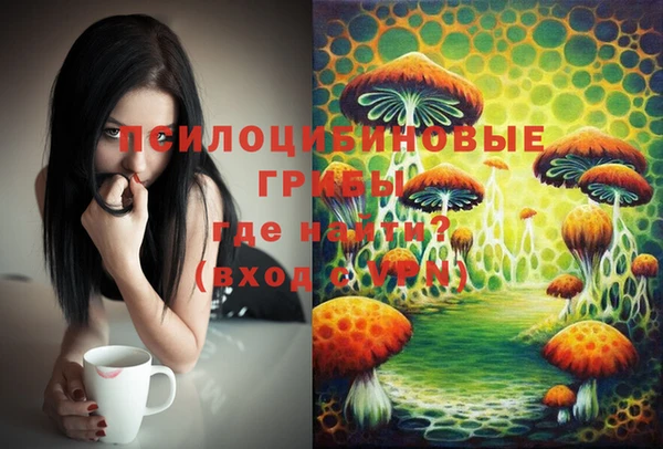 стафф Абдулино