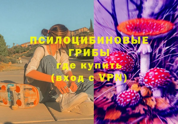стафф Абинск