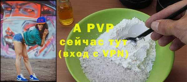 стафф Абинск