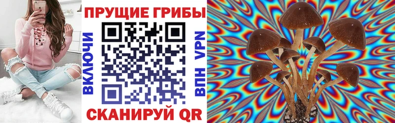 Псилоцибиновые грибы Cubensis  Шумиха 