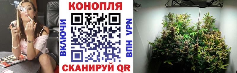 Марихуана гибрид Шумиха